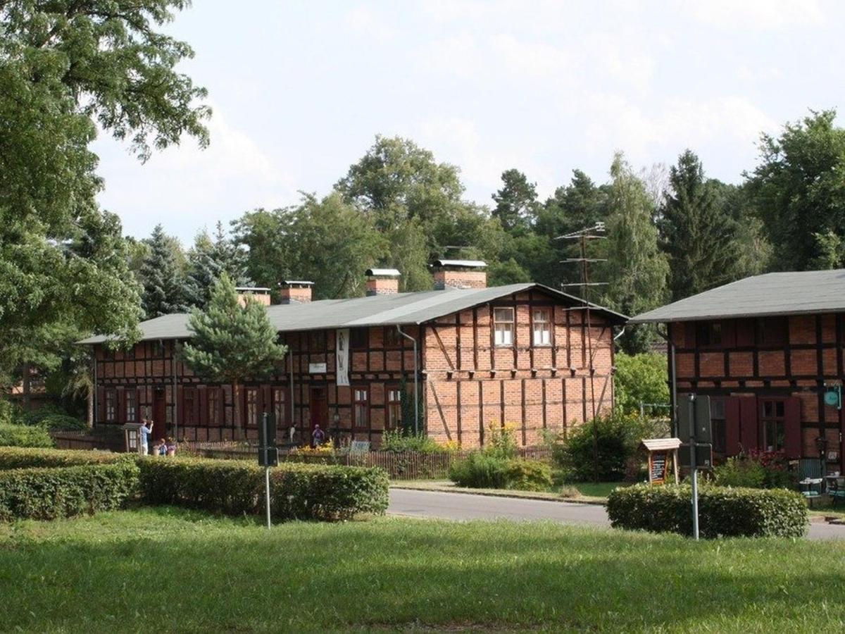 Ferienwohnung Am Roten Schloss Glashutte  المظهر الخارجي الصورة