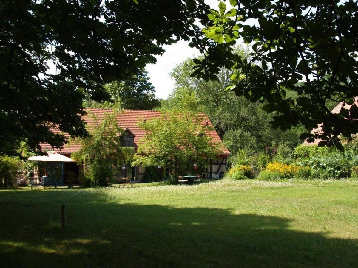 Ferienwohnung Am Roten Schloss Glashutte  المظهر الخارجي الصورة